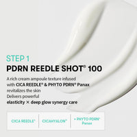 PDRN Reedle Shot 100 2 Step Mask