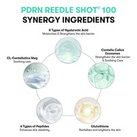 PDRN Reedle Shot 100 2 Step Mask