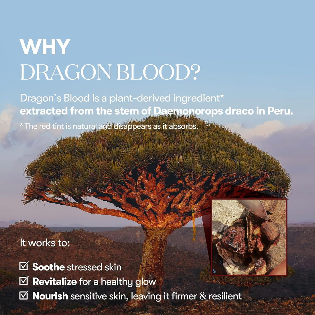 Red Booster Reedle Shot 100